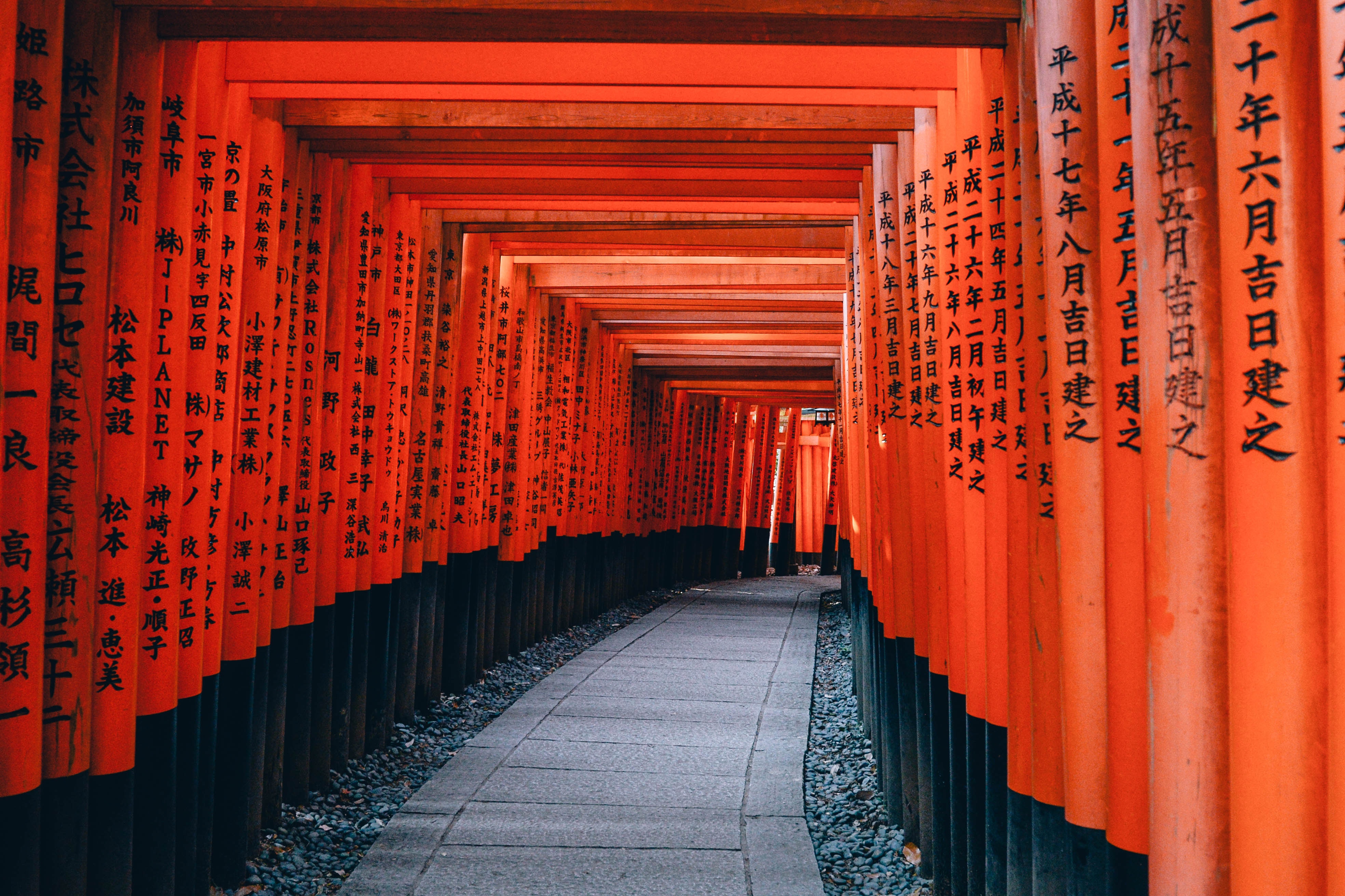 lin-mei-159435-unsplash