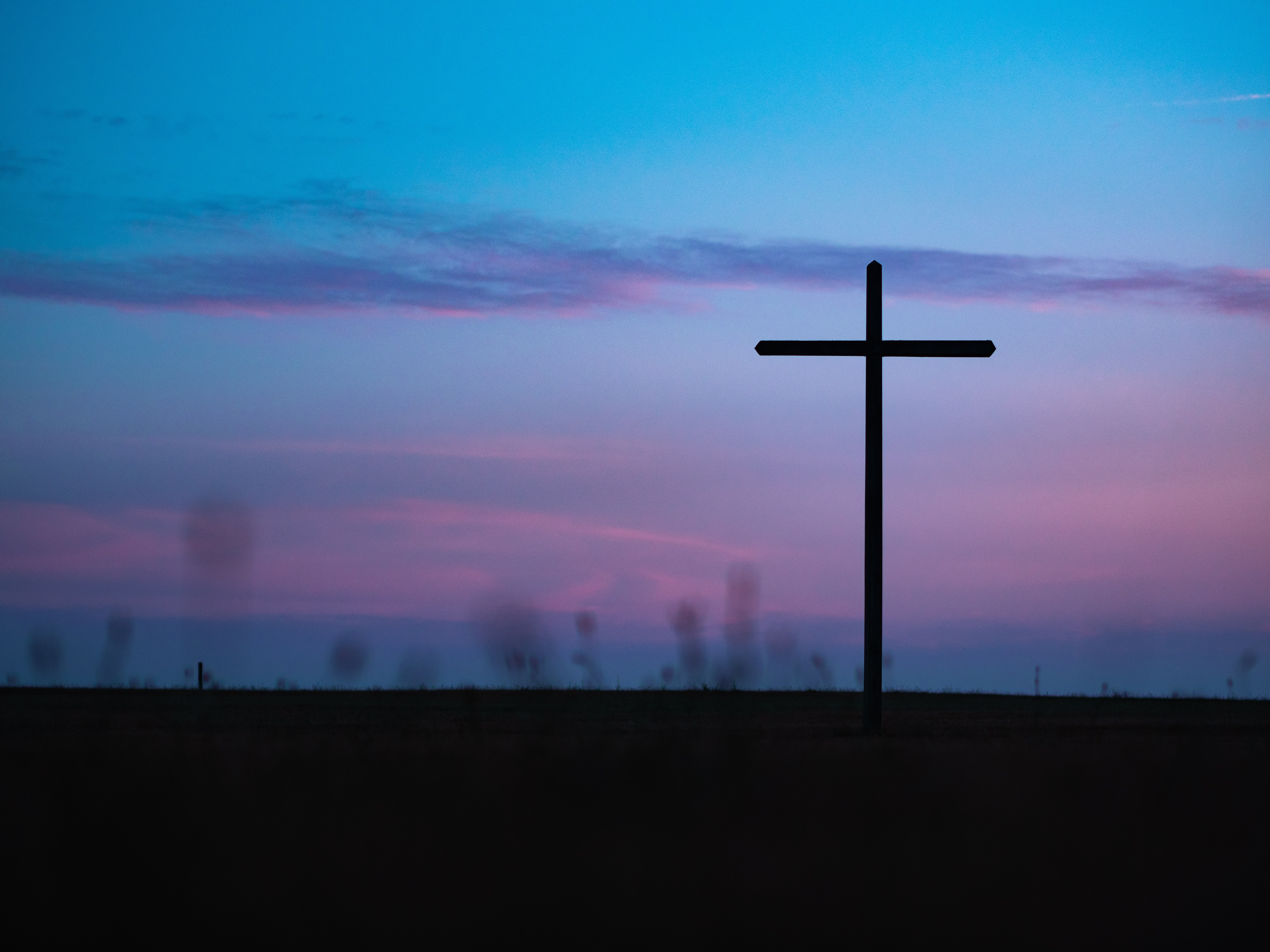 aaron-burden-759768-unsplash
