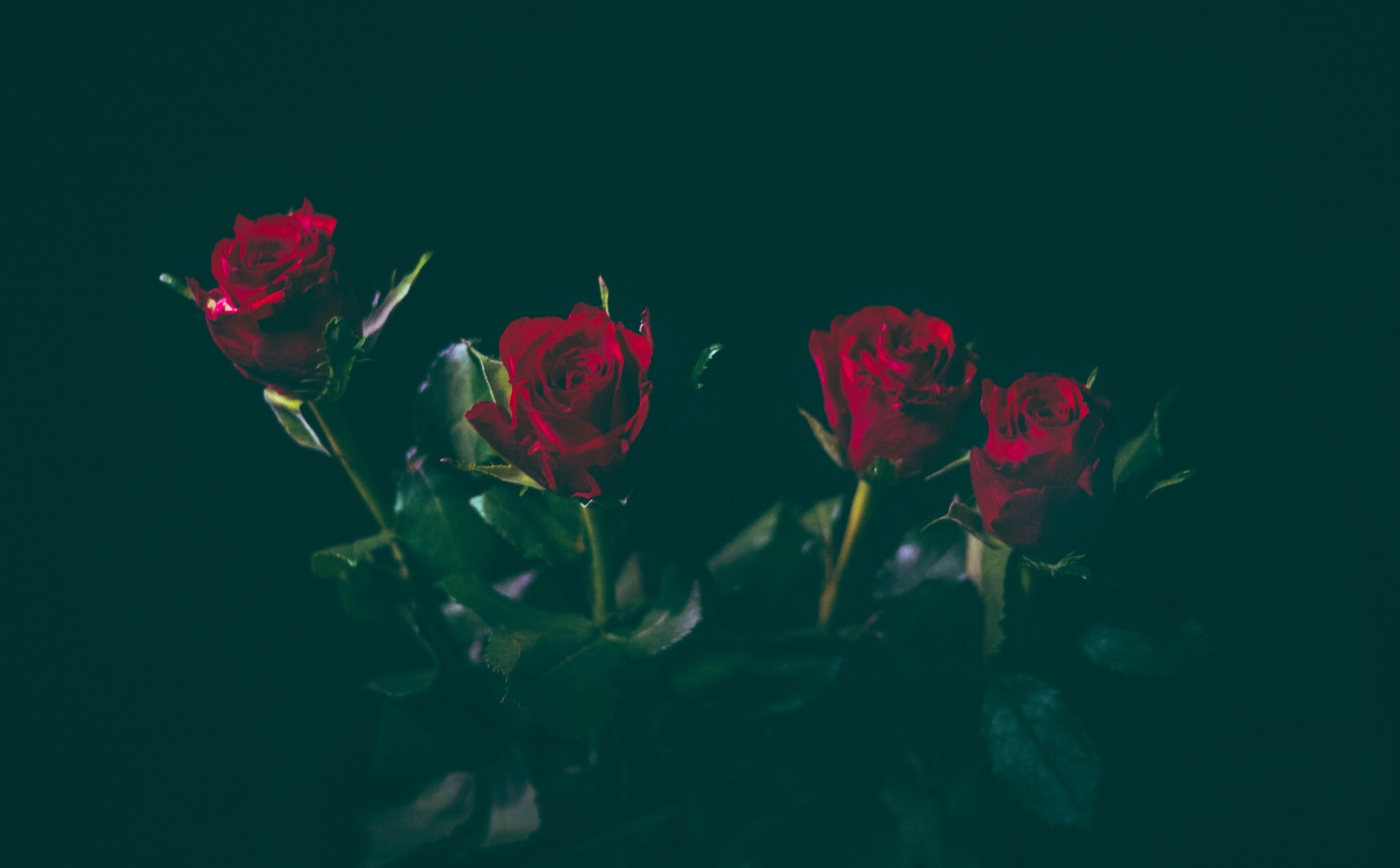 jamie-street-207822-unsplash